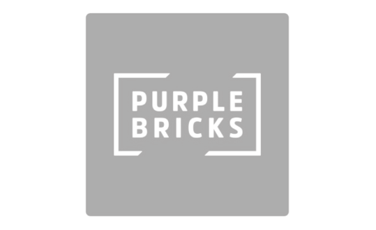 Purple Bricks
